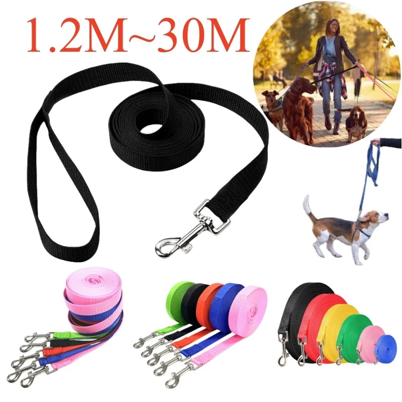 Extended Nylon Puppy Training Leash