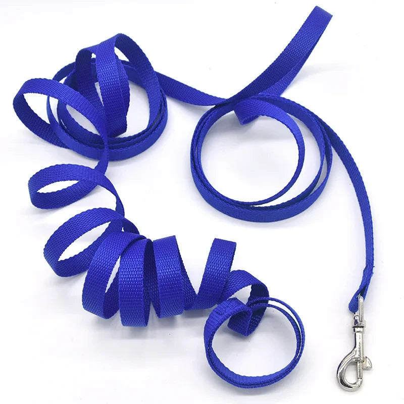 Extended Nylon Puppy Training Leash
