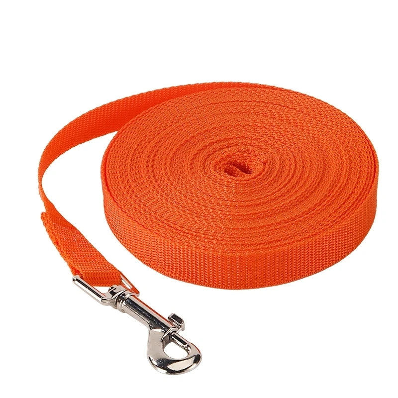 Extended Nylon Puppy Training Leash
