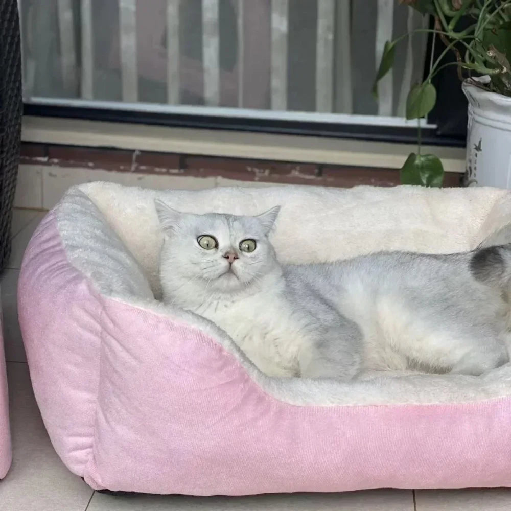 Plush Small Pet Bed